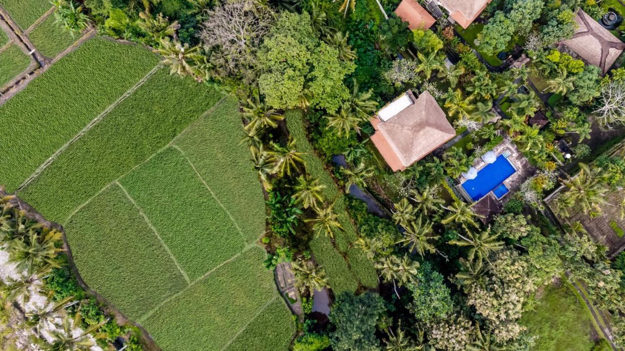 Alam Shanti Ubud Exterior foto